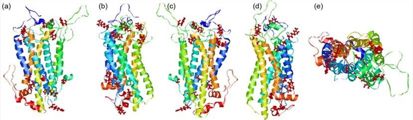 MLNR Membrane Protein Introduction