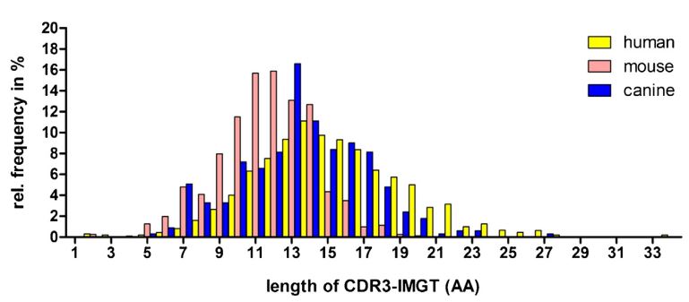 VH CDR3 length distribution of canine breeds and comparison with mouse/human repertoires