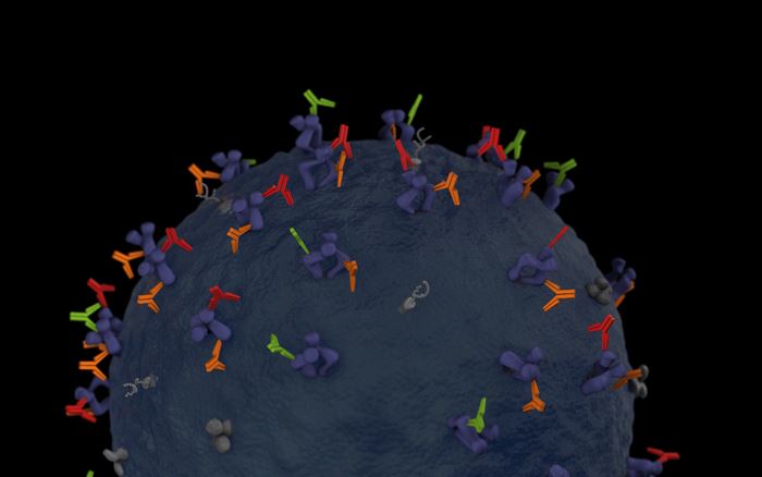 Magic™ Anti-Membrane Protein Antibody Discovery Services