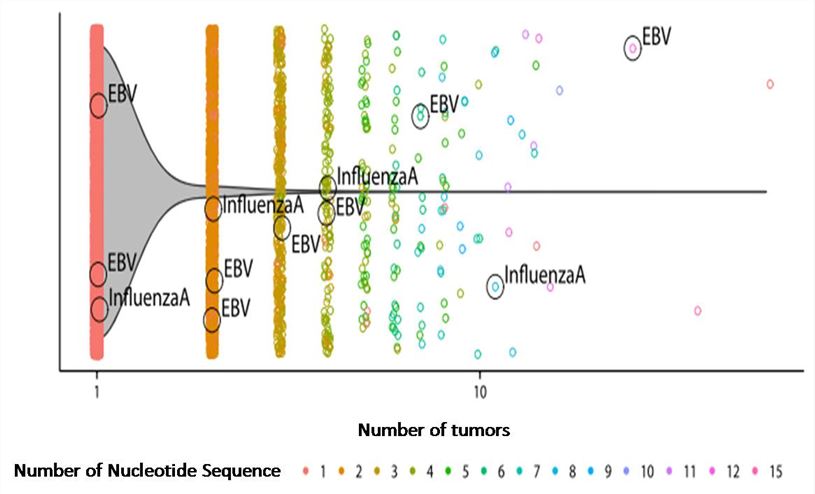 Magic™ Tumor-associated TCR Repertoires Profiling by RNA Sequencing