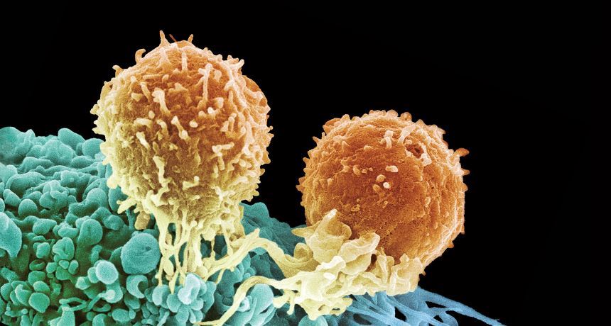 Magic™ Ultra-Sensitive Detection of Rare T Cell Clones