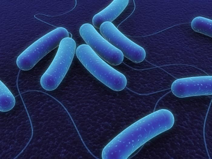 Magic™ Membrane Protein Expression in E. coli