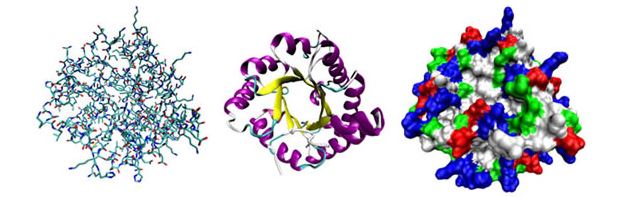 Fig.1 Three possible representations of the same protein's 3D structure. (https://commons.wikimedia.org/wiki/File:Proteinviews-1tim.png)