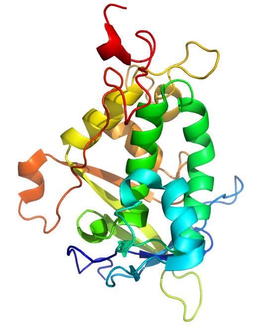 Crystal structure of NPC1L1 NTD.