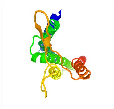 Structure of NPFFR2 membrane protein.