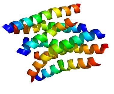 Structure of NPY1-R membrane protein.