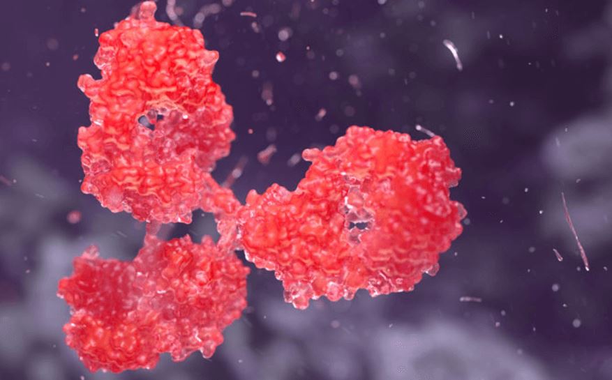Native™ Human Anti-Membrane Protein Antibody Discovery
