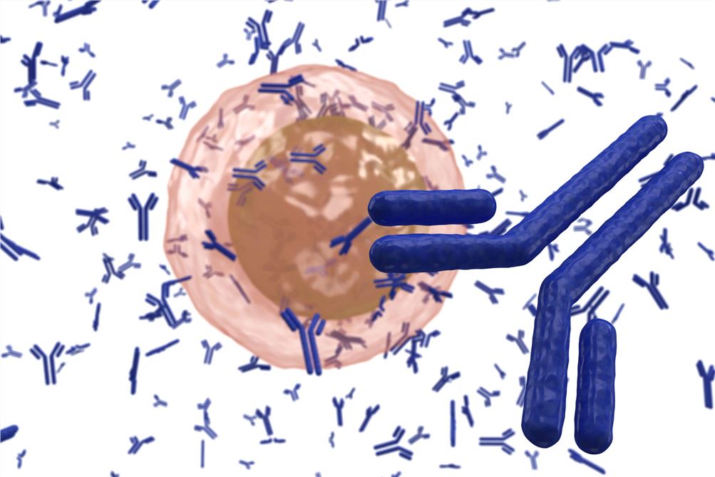 Native™ Sheep Anti-Membrane Protein Antibody Discovery