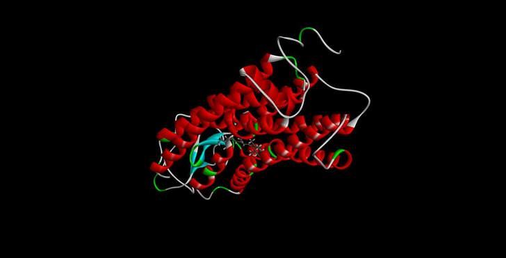 OPN1LW Membrane Protein Introduction