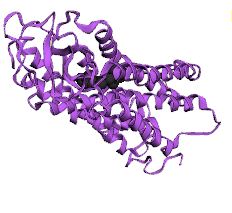 Structure of OPN1MW membrane protein.