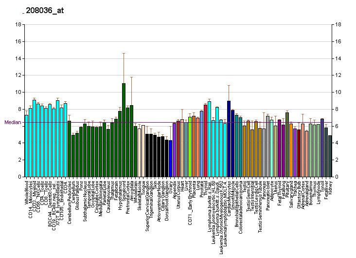 OPN1SW Membrane Protein Introduction