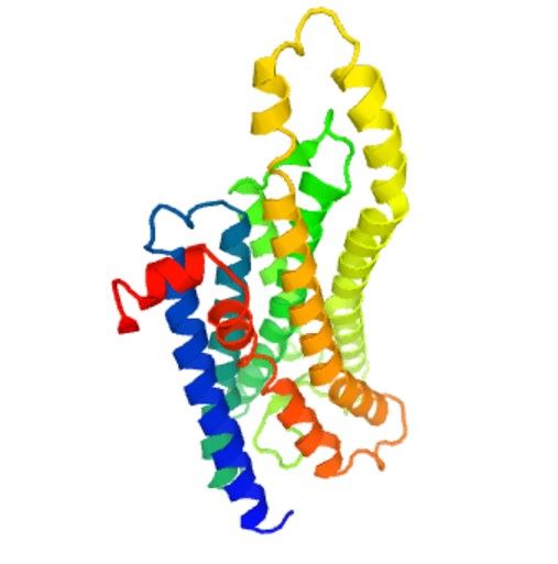 OPN4 Membrane Protein Introduction