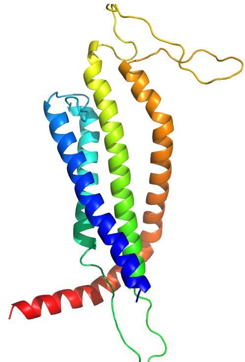 ORAI1 Membrane Protein Introduction