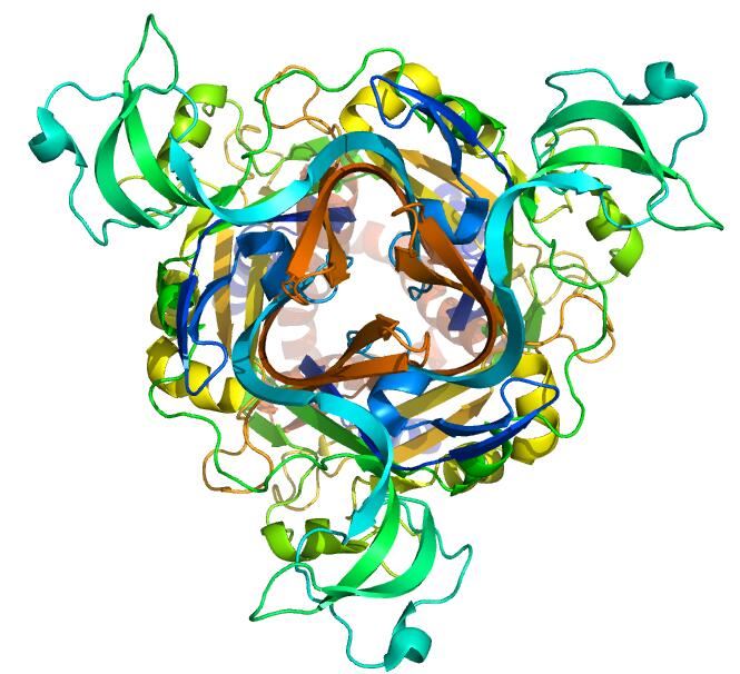 Crystal structure of zebrafish P2RX4 in trimeric form (4DW1).