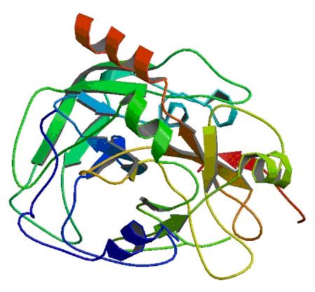 Protein structure of PAR4.