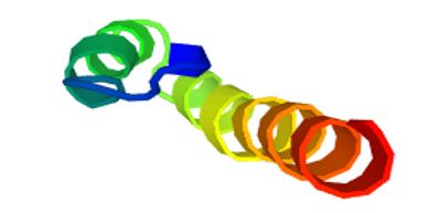 PLLP Membrane Protein Introduction