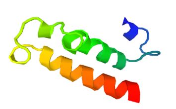 PLP2 Membrane Protein Introduction