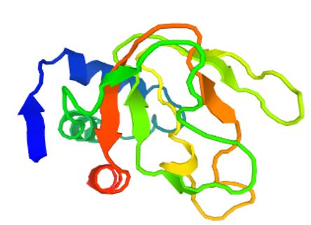 POPDC2 Membrane Protein Introduction
