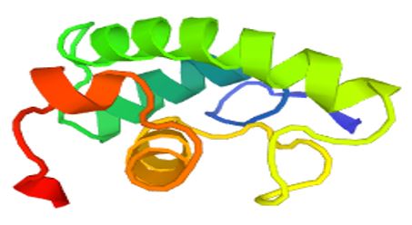 The structure of Presenilin-2.