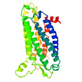 Structure of PTGER3 membrane protein