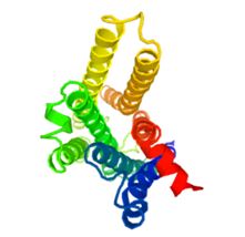 Structure of PTGFR membrane protein