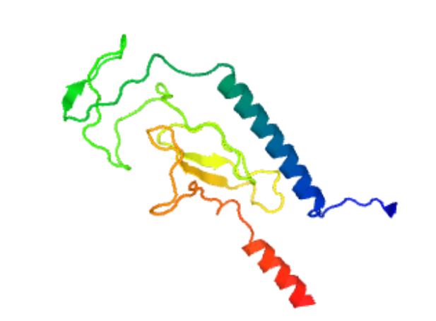 Structure of PTH2R membrane protein.