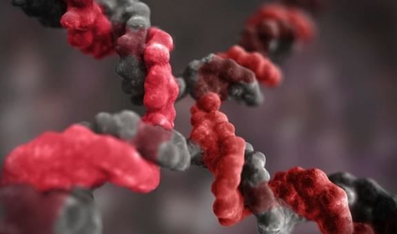 赤と灰色のよじれる物体