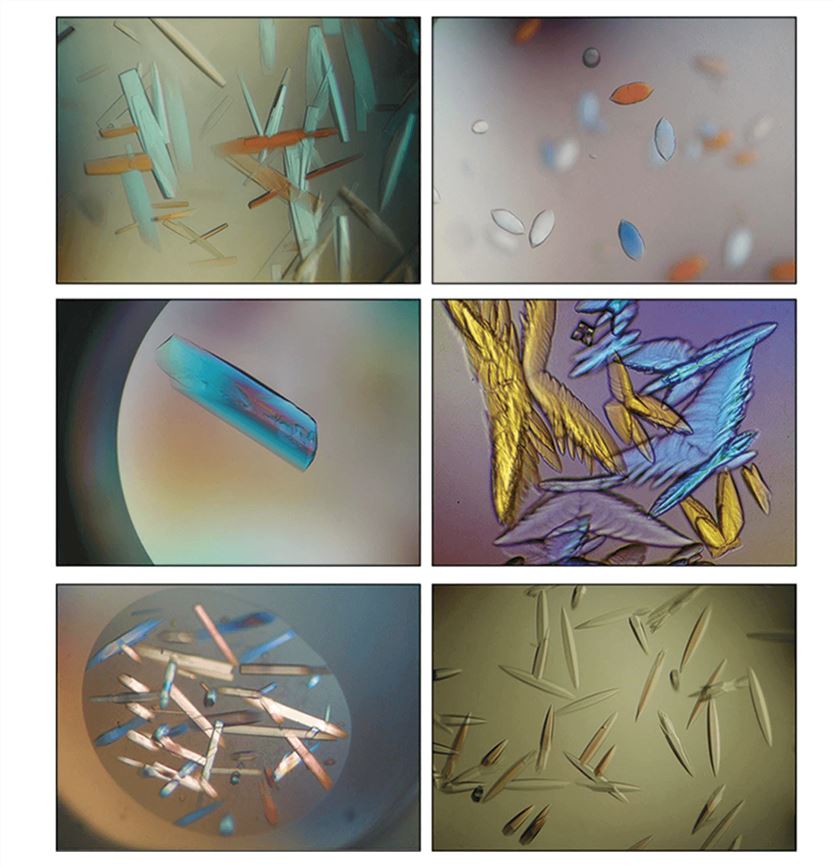 A variety of protein crystals (Alexander & Josa, 2014)
