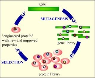 Protein Engineering Platform