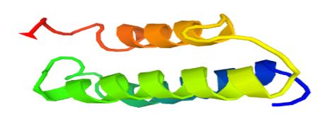 The structure of Receptor activity-modifying protein 2.