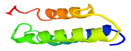 The structure of Receptor activity-modifying protein 3.