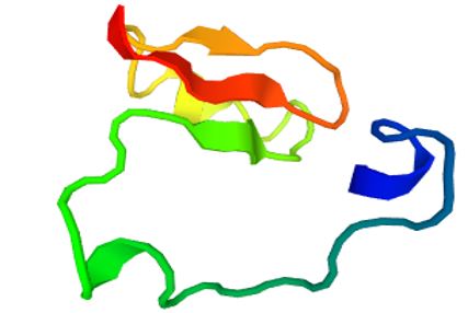 RER1 Membrane Protein Introduction