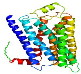 RHCE Membrane Protein Introduction
