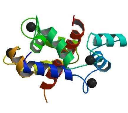 The structure of Ryanodine receptor 1