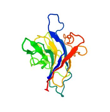 The structure of Ryanodine receptor 2.
