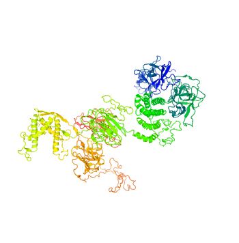 The structure of Ryanodine receptor 3.