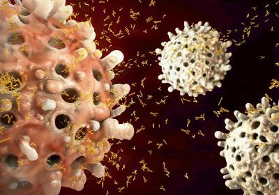 Removal of B Cell Epitopes Assay（Creative Biolabs Authorized）