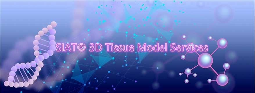 SIAT® 3D Tissue Model Services.