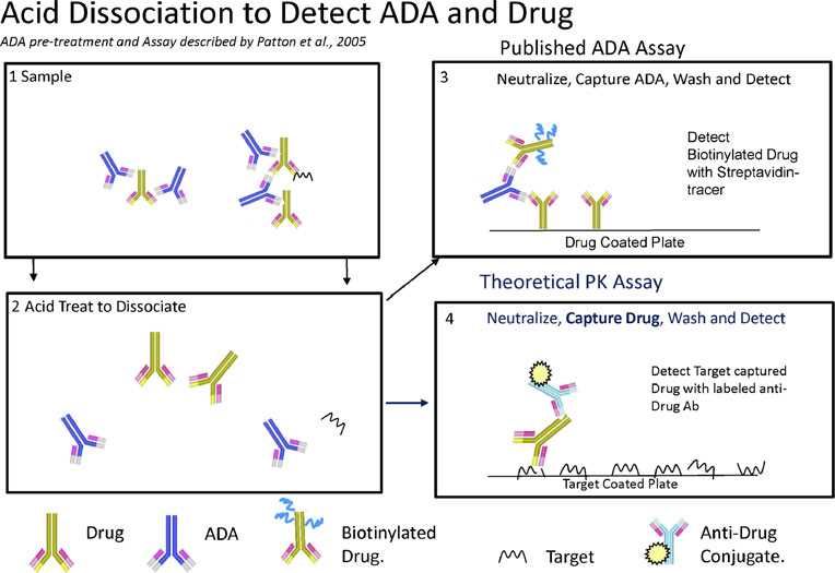  Acid dissociation to detect ADA and drug.