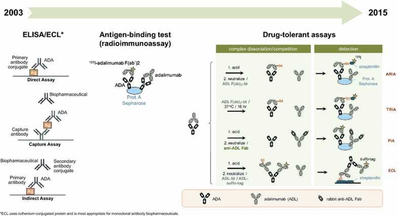 Evolution of immunogenicity assays for biopharmaceuticals and assessment of anti-adalimumab antibodies. 