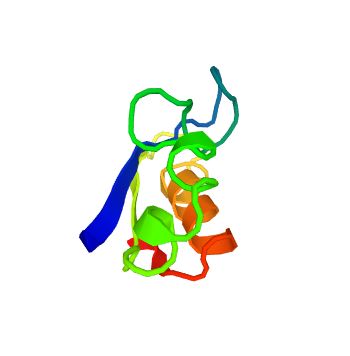The structure of Synaptic vesicular amine transporter.