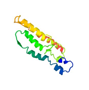 The structure of MFS-type transporter SLC18B1.