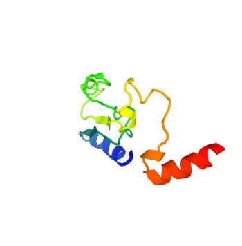 The structure of SLC19A1 Protein.