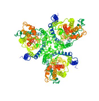 The structure of SLC1A7 Protein.