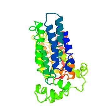 The structure of SLC22A1 Protein.