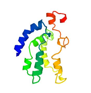 The structure of SLC22A14 Protein.