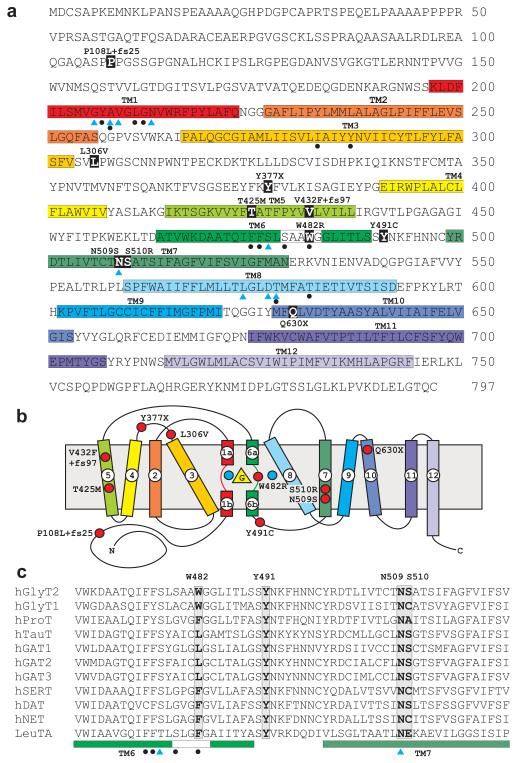 SLC6A5 Membrane Protein Introduction