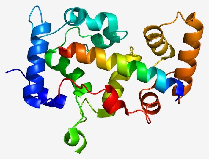 Structure of SLC9A1.