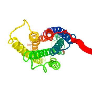 SUCNR1 Membrane Protein Introduction