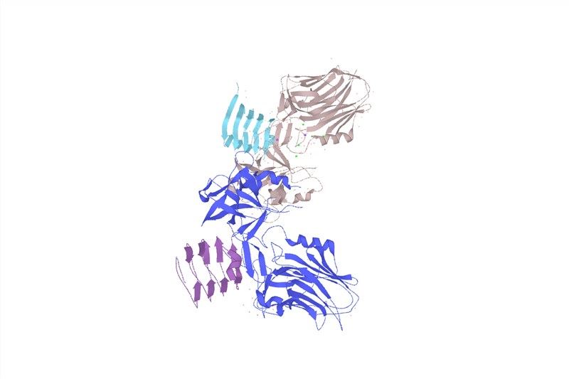 Secondary structure of SV2C.